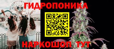 кокс Кингисепп