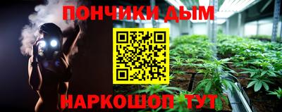 кокс Кингисепп