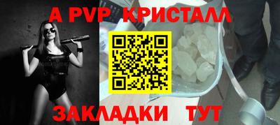 кокс Кингисепп