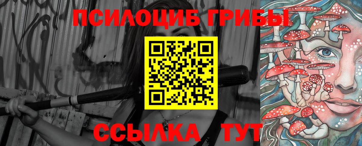 Псилоцибиновые грибы Psilocybine cubensis  Вход с VPN  цены   Старая Купавна  Псилоцибиновые грибы мухоморы 