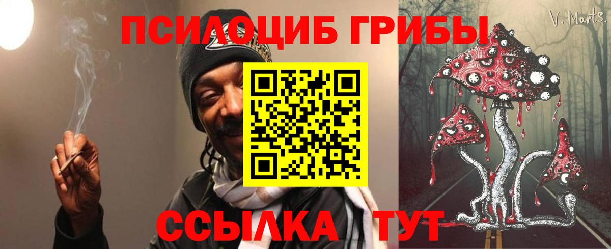 Галлюциногенные грибы MAGIC MUSHROOMS Старая Купавна